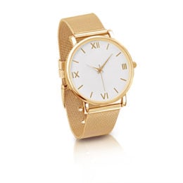 S618-SW1533GT – Gold-tone Watch with Mesh Band – 06-17-22